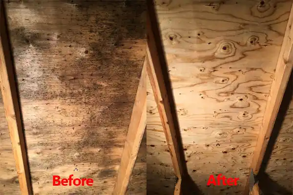 water damage restoration service Angola
